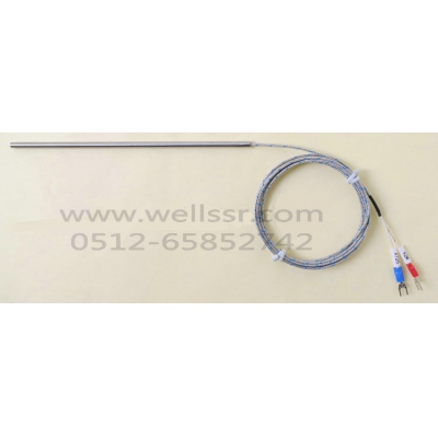 WT25 直接出線(xiàn)桿式  高精度熱電偶