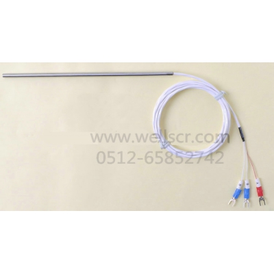 WR25直接出線(xiàn)桿式  高精度熱電阻